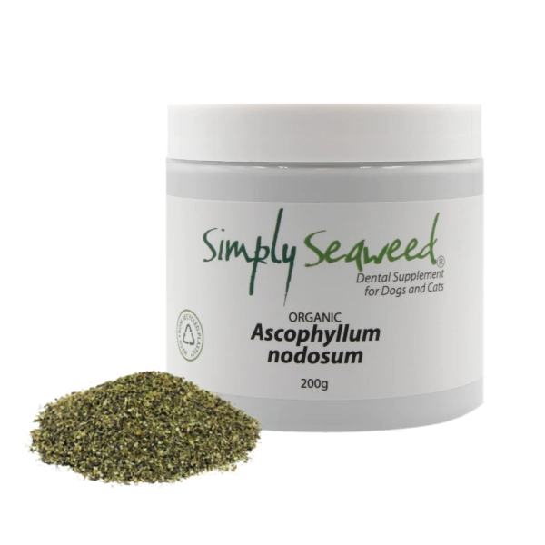 Simply Seaweed - Dental Supplement - Image 2