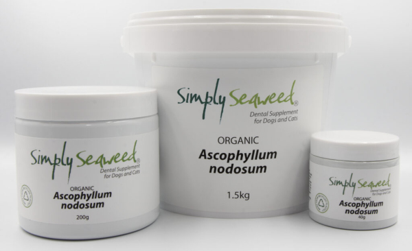 Simply Seaweed - Dental Supplement - Image 4